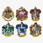 Magnesy Harry Potter Puremind — zdjęcie serii; zawartość wybranego zestawu podano w opisie